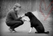 honden foto van Inneke Snels
