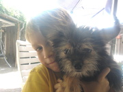 honden foto van savannah