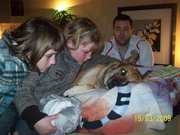 honden foto van silvia