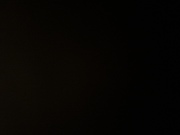honden foto van tayler