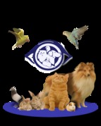 honden foto honden foto van Brands Diervoeders