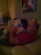 honden foto honden foto van Culpa