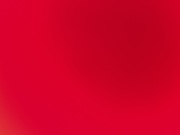 honden foto van Sander en Woef