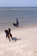 honden foto van Leen