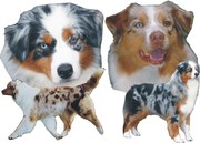 honden foto van Peyton