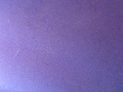 honden foto van Marja