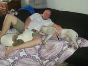 honden foto van Jans Huizing