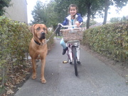 honden foto van Lisette Tosa Bink