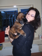 honden foto van yvette