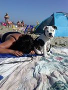 honden foto van Cinthia