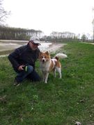 honden foto van Huub 