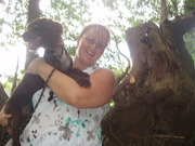 honden foto honden foto van rebecca