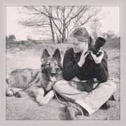 honden foto honden foto van Monique