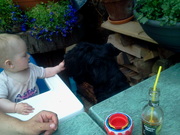 honden foto van Winanda