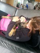 honden foto van Marije