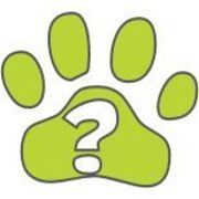 honden foto van Nog even hondenloos