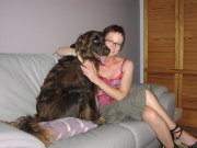 honden foto van nele - Tiësto