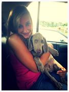 honden foto van Hélène Verstraete