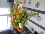 honden foto van xxsasz