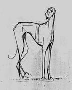 honden foto van Marijke