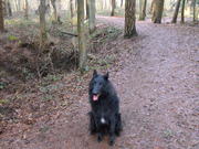 honden foto van Nadine Kemp