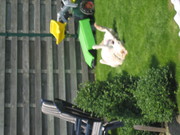 honden foto van tina