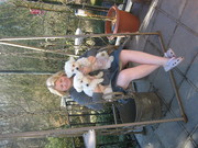 honden foto van iris de witte