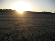 honden foto van Sandra Freij