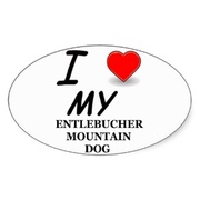 honden foto honden foto van Ellen