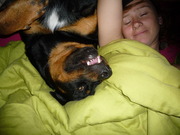 honden foto van Eitje