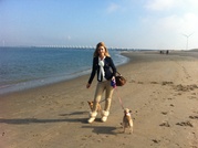 honden foto van susan,paris&bentley 