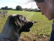 honden foto van ingrid