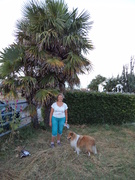 honden foto van Leonie Audenaerd