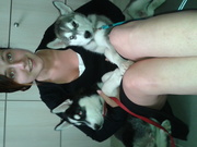 honden foto honden foto van Debbie