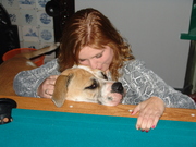 honden foto van sabrina