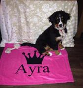 honden foto van wendy