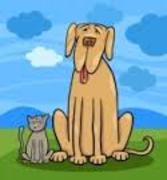 honden foto honden foto van Rosa