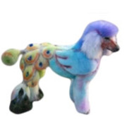 honden foto honden foto van Willem-Johan