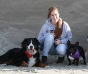 honden foto van Ismaï