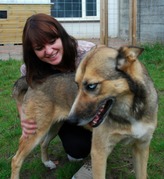 honden foto honden foto van Eskim0