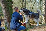 honden foto van Stephen met team Silverlinings