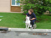 honden foto van Chantal Van Dessel