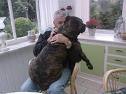 honden foto van Jozef