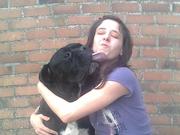 honden foto van Evy De Weird