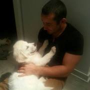 honden foto van Ilja & Mila