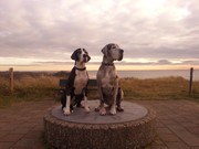 honden foto van p.zwarts