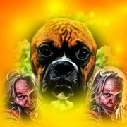 honden foto van frannie dik