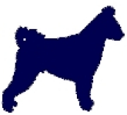 honden foto van Twister's pumikennel