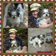 honden foto van Berry, vrouwtje van Sammie