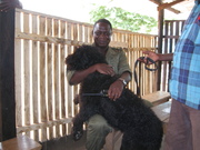 honden foto van andrea